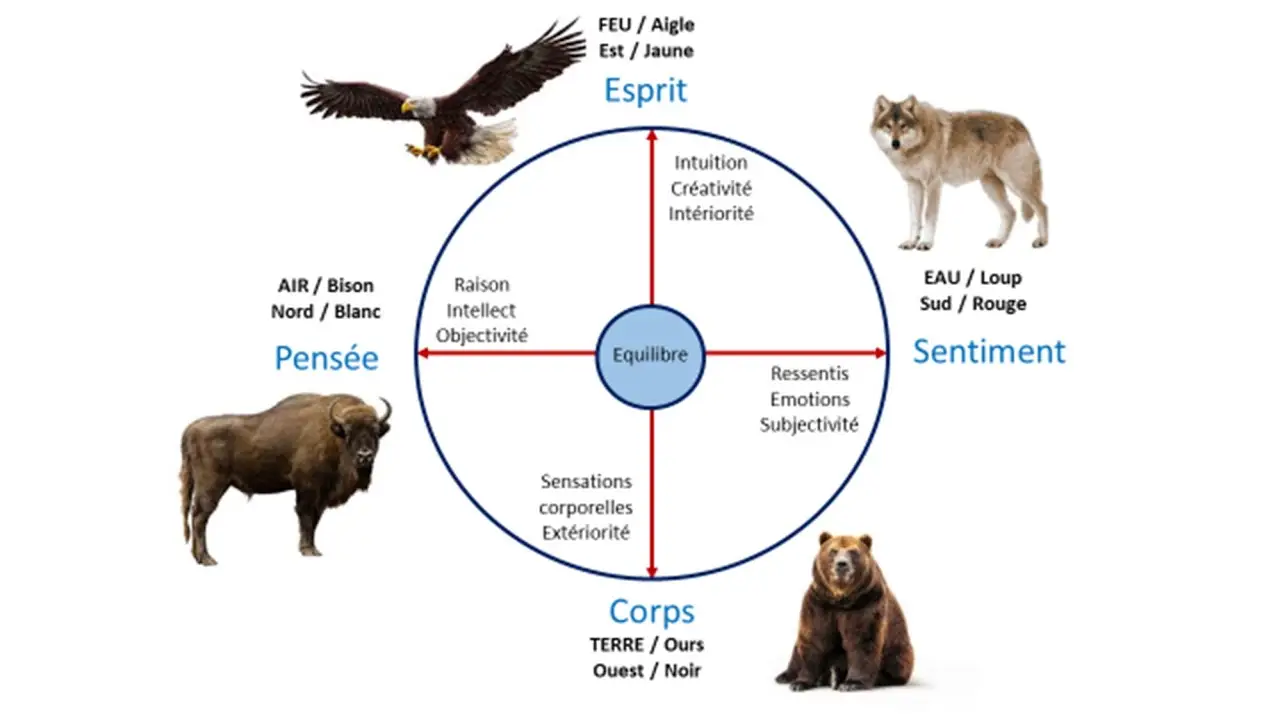Diagramme sur l'équilibre personnel et les émotions