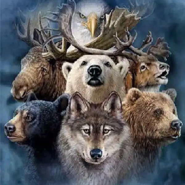 Règne animal et animal totem holistique