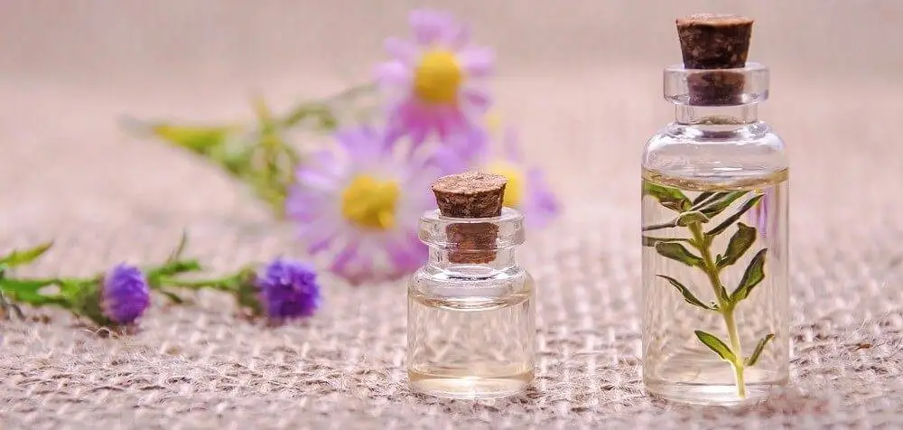 Règne végétal, huiles essentielles +