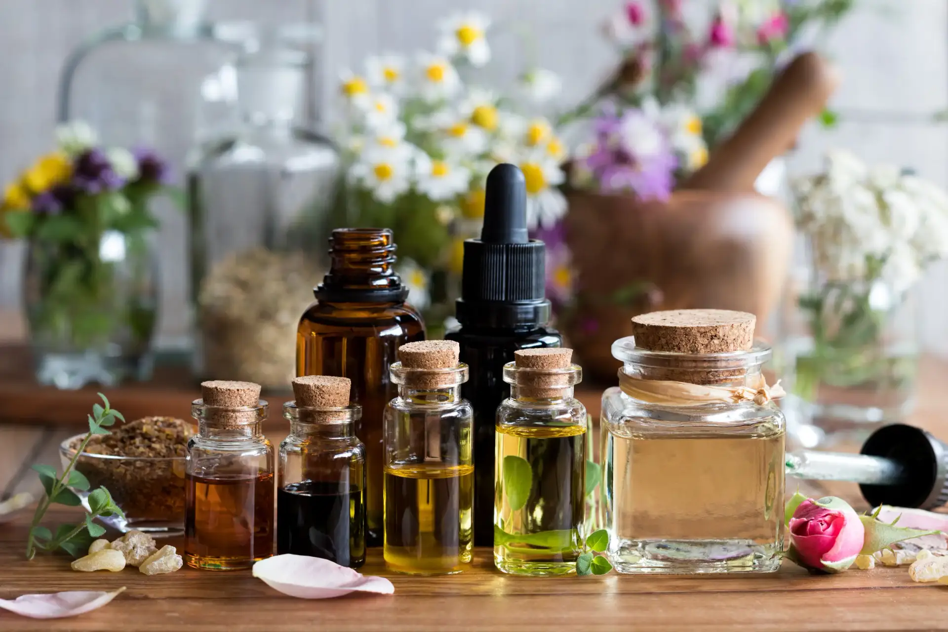 Règne végétal, découverte des huiles essentielles et les remèdes de dame nature