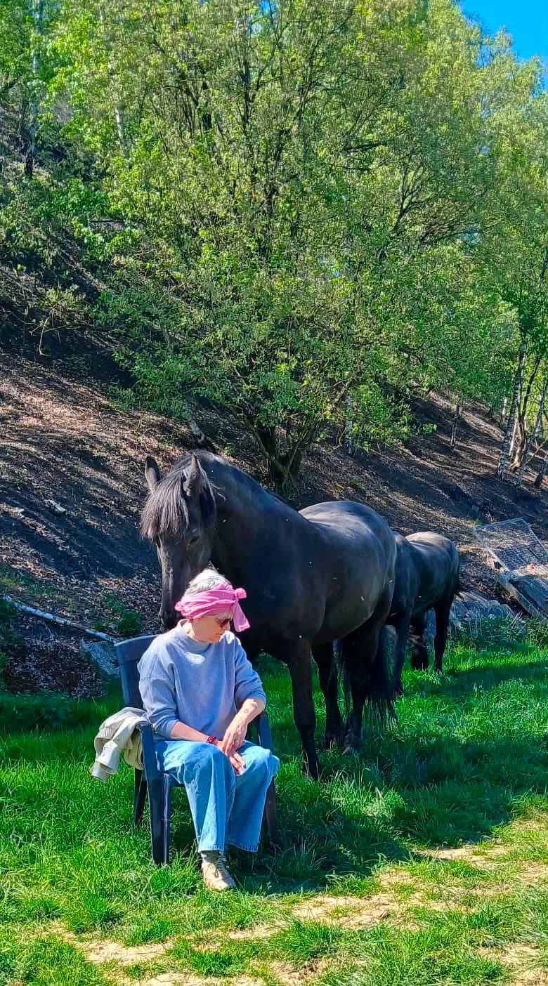 Equicoaching : La puissance du vivant 2 equicoaching