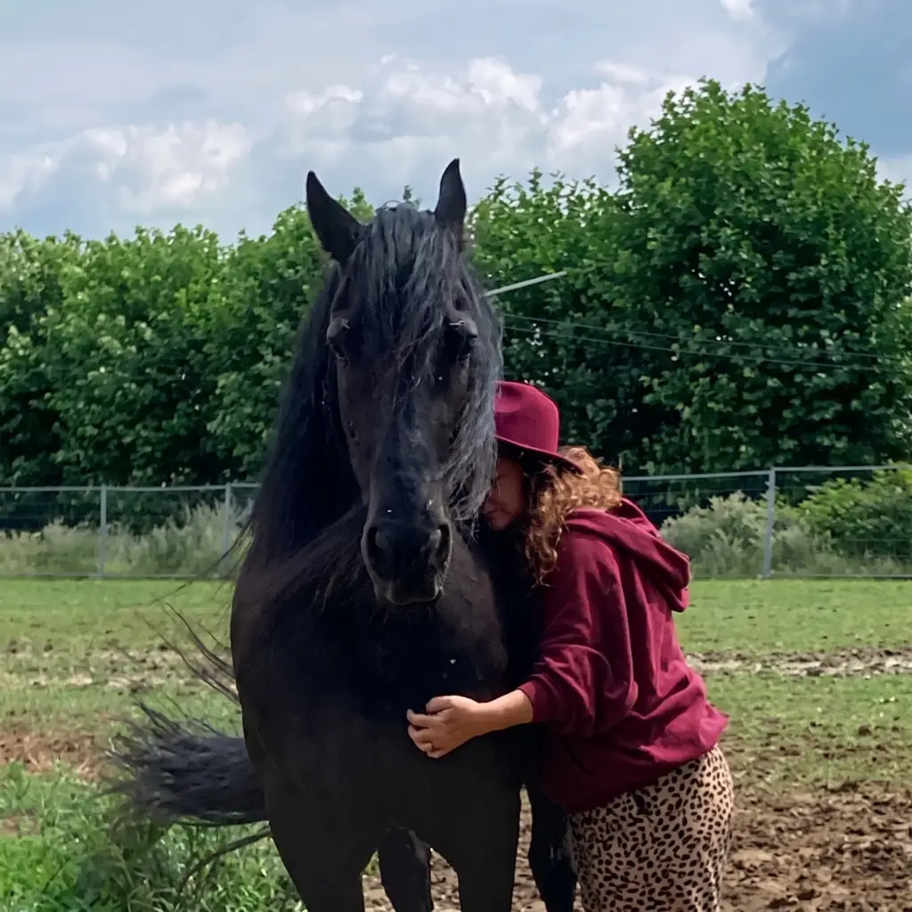 equicoaching